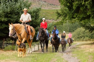 Queenstown : randonnée équestre à Walter Peak et croisière sur le lac Queenstown