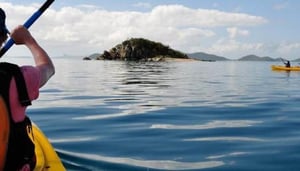 Salty Dog Sea Kayaking