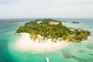 Samaná Whale Wonders: Et majestetisk marint eventyr