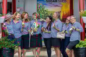 Sarina: Sarina Sugar Shed Guided Tour with Tastings