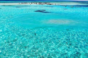 Sharm el-Sheikh: White Islandin ja Ras Mohamedin kansallispuiston veneretki