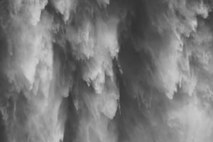 Snoqualmie, Twin Falls und Ancient Forest (Transport inklusive)