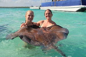 セント・ジョンズ：スティングレイ・シティでアカエイと泳ぎ、ロング・ベイを訪問いたします