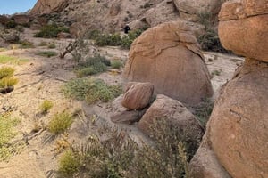 Swakopmund: Mondtal & Welwitschia-Tour