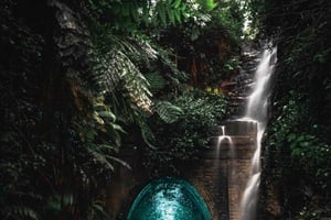 Sydney: Helensburgh Glow Worm Tunnel Tour mit Transfer