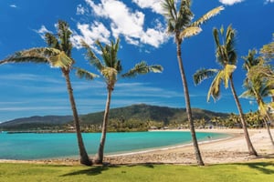 Airlie Beach: wycieczka autobusowa