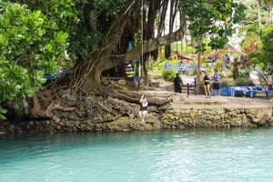 Vanuatu: Efate Round Island dagstur med lunsj på Top Rock