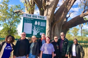 Victoria Falls: opastettu kierros Monde Villageen ja lounas