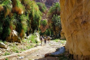 Wadi Ghuweir: een hele dag wandelen met een lokale gids en lunch.