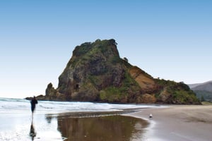 Waitakere Ranges Wilderness Experience Tour vanuit Auckland