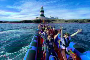 Waterford: Havssafari med båt till Hook Lighthouse