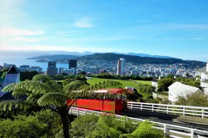 Wellington: Biljett tur och retur med linbanan