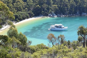 Welshpool: Wilsons Promontory Natur- und Tierwelt Tagesausflug