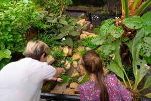 West Berkshire, Großbritannien: The Living Rainforest Centre Ticket