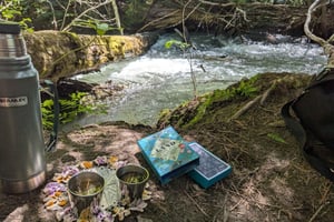 Whistler: Tour, immersives Naturerlebnis