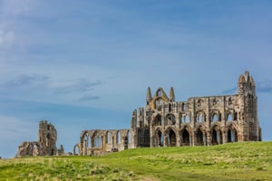 Whitby: Whitby Abbey Biljett