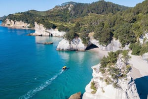 Whitianga: 2-Hour Glass Bottom Boat Tour