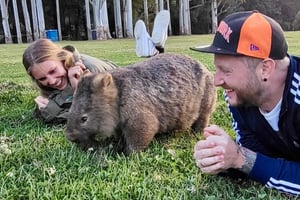 Experiência com cangurus e wombats selvagens, tudo incluído, Sydney