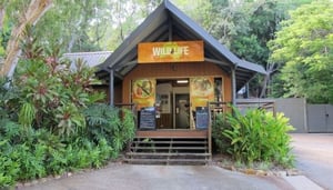 Wildlife Hamilton Island