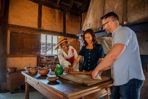 Williamsburg: Jamestown Settlement Ticket met combiticket optie