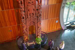 WLG: Museum of NZ Māori Highlights Tour & algemene toegang