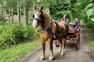 York : Promenade en calèche dans la campagne York
