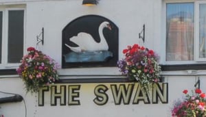 The Swan