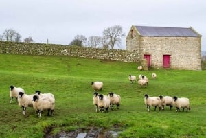 Fra York: Tur til Yorkshire Dales