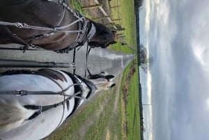 York: Paseo en coche de caballos y té con nata