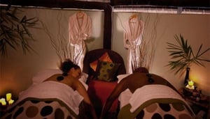 Avocado Hair and Day Spa