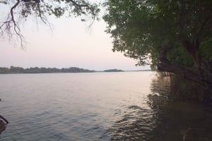 Observación de aves en el río Zambeze de Livingstone al amanecer