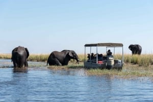 Parc national de Chobe : Excursion d'une journée avec croisière sur la rivière