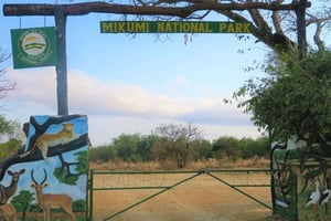 From Dar es Salaam: Mikumi National Park Day Trip