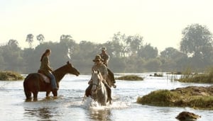 Horse Riding - Safari Par Excellence