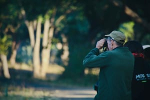 Livingstone: Mosi-oa-Tunya National Park Birdwatching Tour