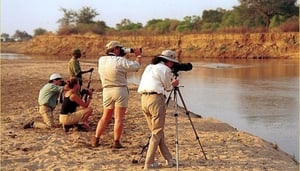 Photographic Safaris - Shenton Safaris