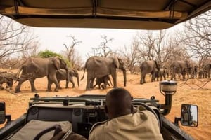 Passeio de caça ao rinoceronte