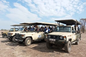 Rhino Safari game drive