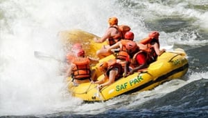 Safari Par Excellence