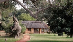 Track and Trail River Camp