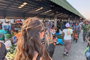 Ultimate Lusaka 8h: Local Culture & Orphanage Baby Elephants