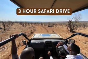 Victoriafallen: 3 timmars safari