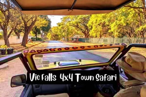 Victoria Falls: 4x4 Victoria Falls Town Safari