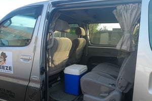 Victoria Falls: Lufthavn til hotel - returtransport