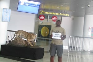 Victoriafallen: Privat transfer från flygplats till hotell