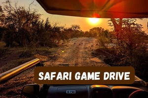 Cataratas Victoria: Safari en coche con servicio de recogida del hotel