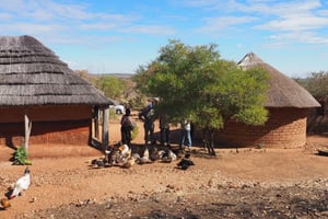 Ture til Victoria Falls Village