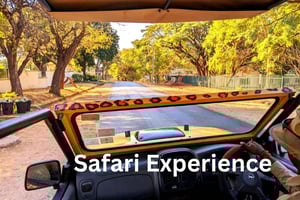 Victoria Falls: Zambezi National Park Safari