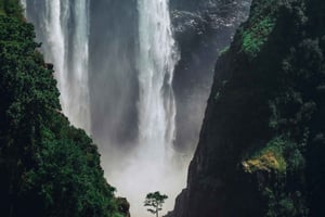 Zambia: Victoria Falls Half-Day Horse Riding Safari & Lunch
