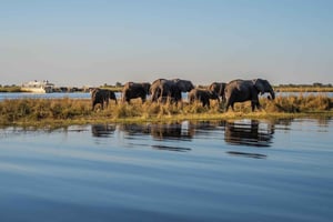 3 jours pour découvrir la Zambie, le Zimbabwe et le parc de Chobe au Botswana